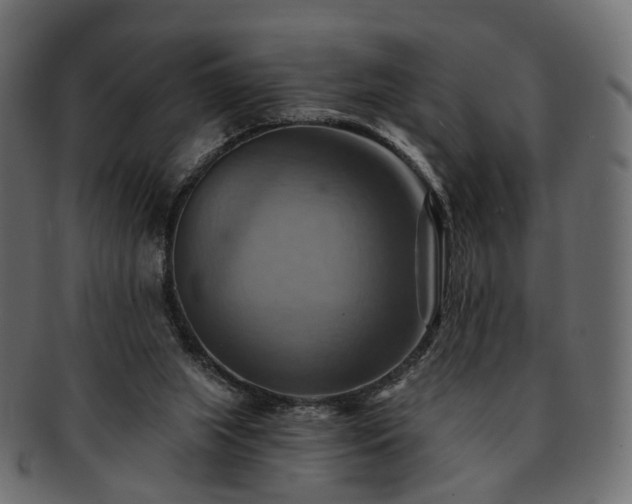 X0000093220063200710031447