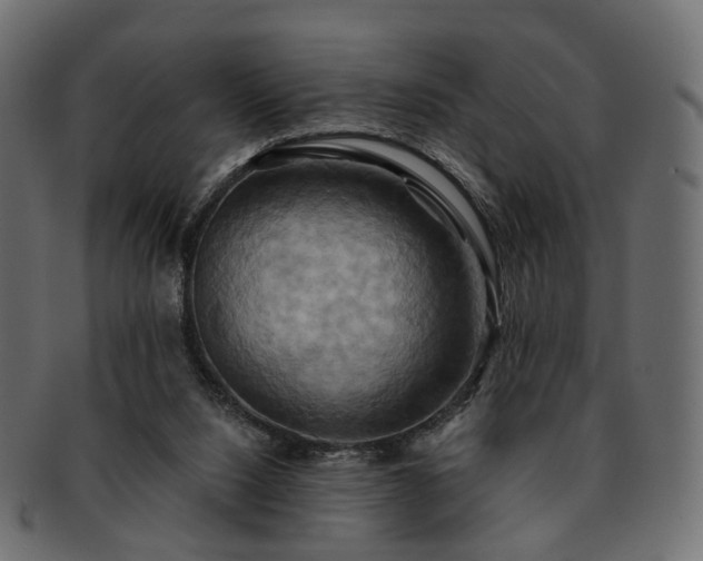 X0000093220064200710031447