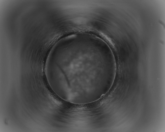 X0000093220065200710031447