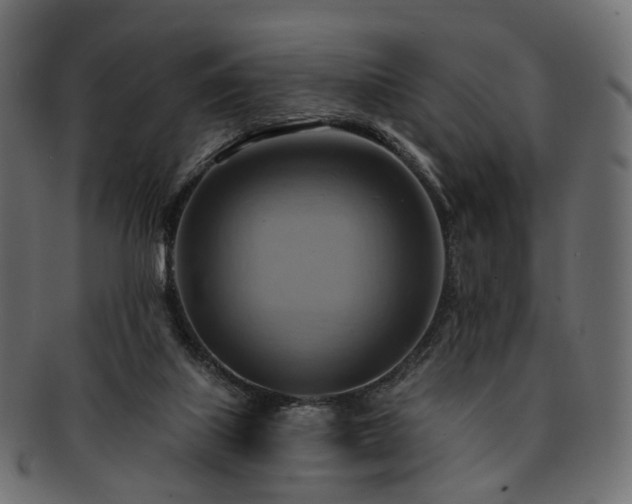 X0000093220067200710031447