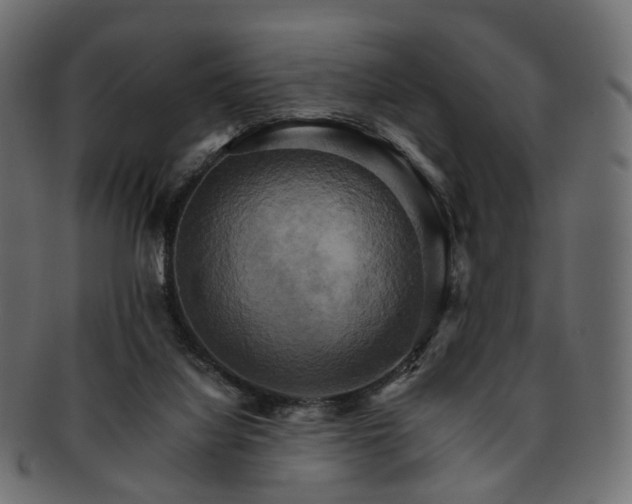 X0000093220068200710031447