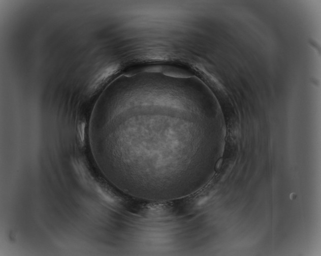 X0000093220070200710031447