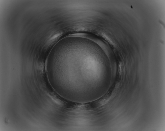 X0000093220072200710031447