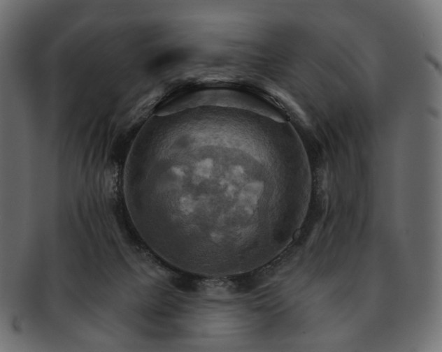 X0000093220073200710031447