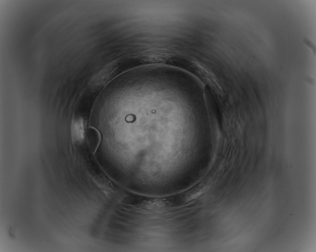 X0000093220075200710031447