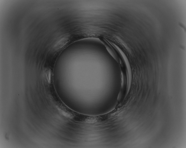 X0000093220076200710031447