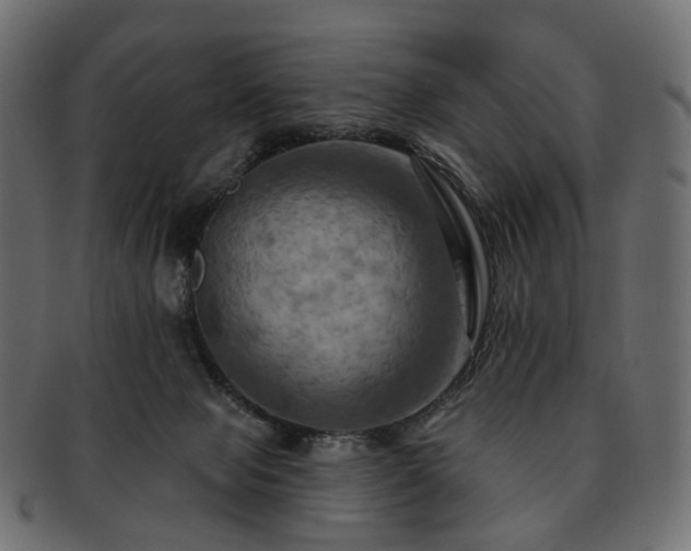 X0000093220077200710031447