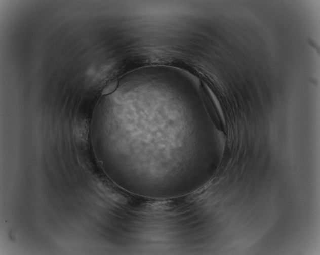 X0000093220078200710031447