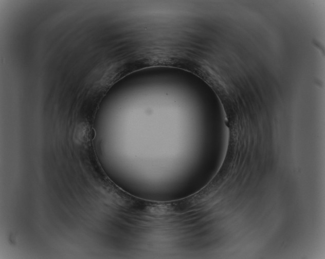 X0000093220079200710031447