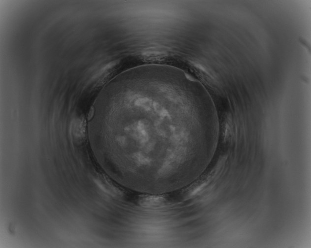 X0000093220081200710031447