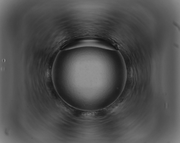 X0000093220084200710031447