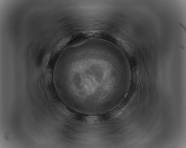 X0000093220085200710031447