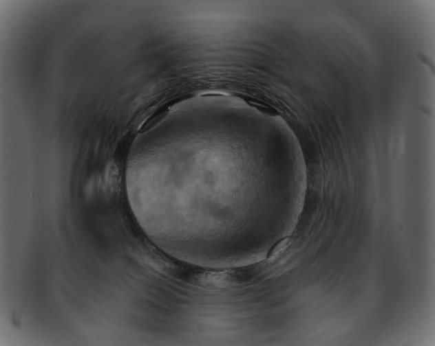 X0000093220086200710031447