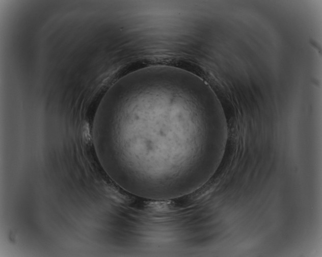 X0000093220089200710031447