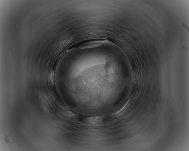 X0000093220094200710031448