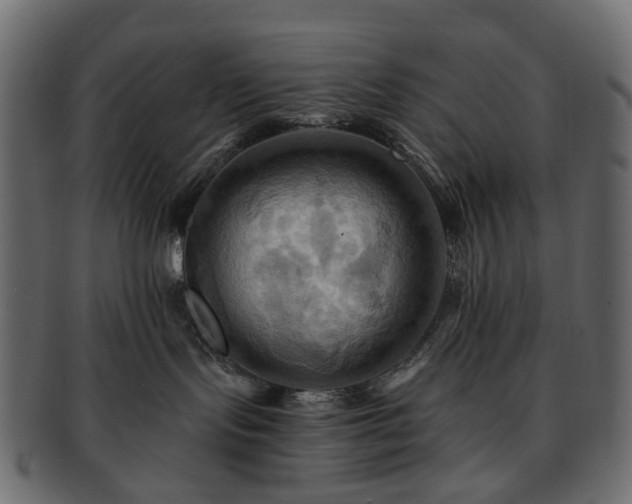 X0000093220095200710031448