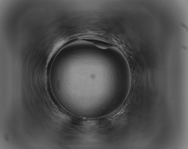 X0000093220102200710031447