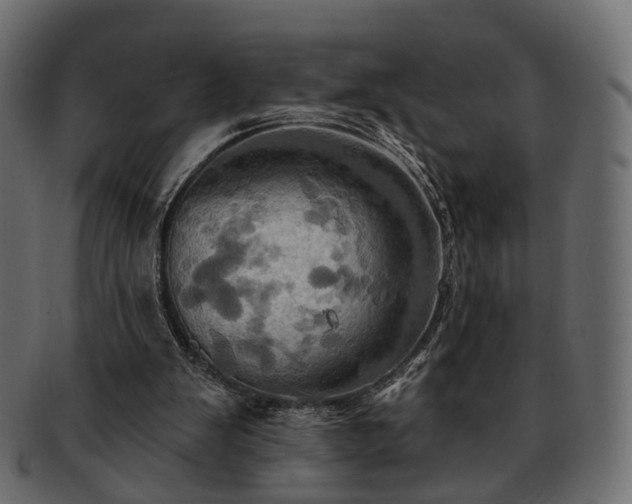 X0000093220103200710031447