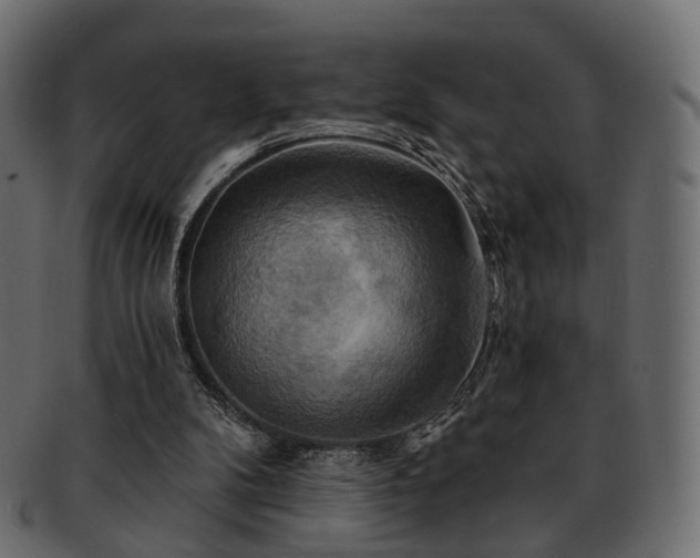 X0000093220104200710031447