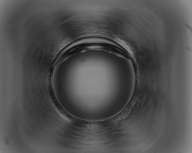 X0000093220105200710031447