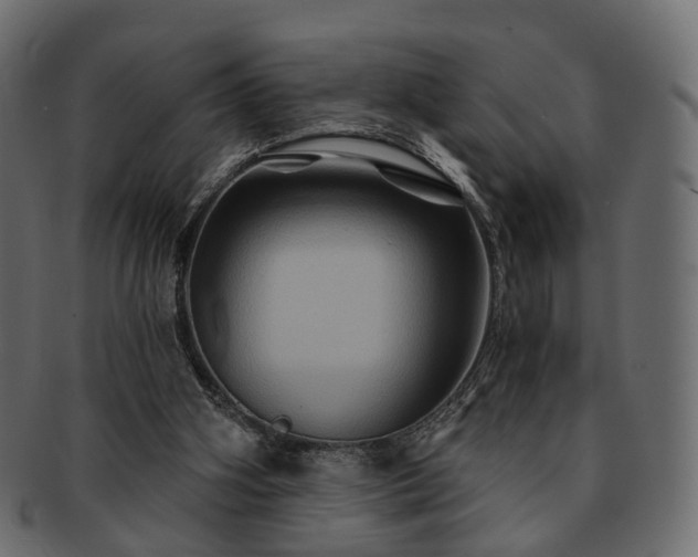 X0000093220106200710031447