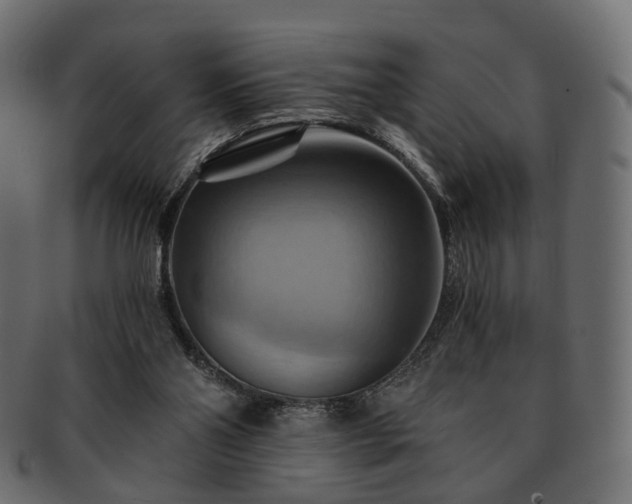 X0000093220110200710031447