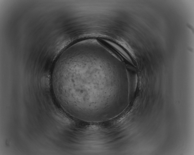 X0000093220111200710031447