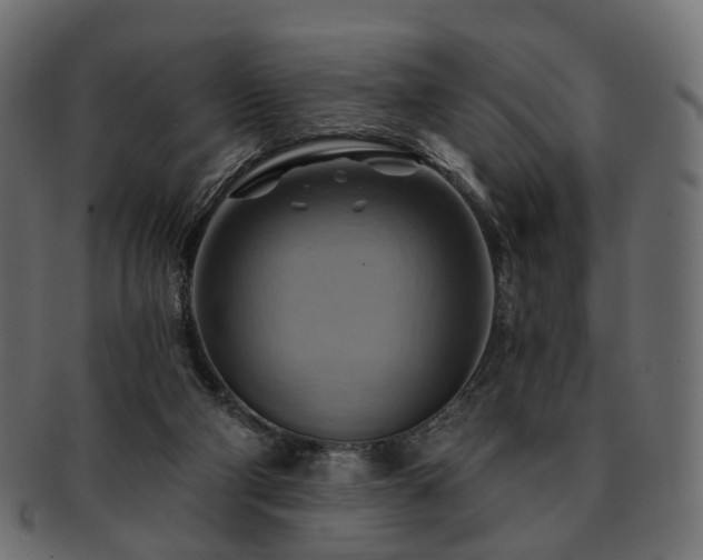 X0000093220114200710031447