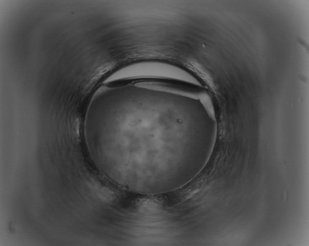 X0000093220115200710031447