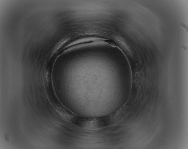 X0000093220116200710031447