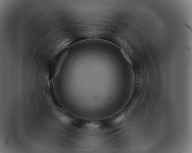 X0000093220117200710031447