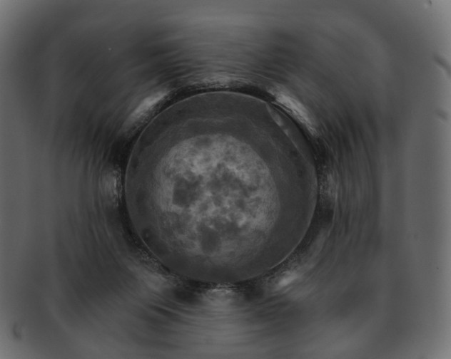 X0000093220119200710031447