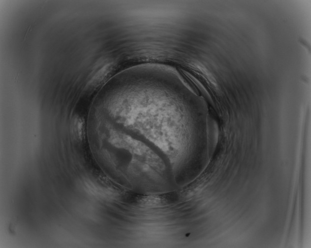 X0000093220123200710031447