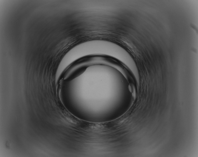 X0000093220125200710031446