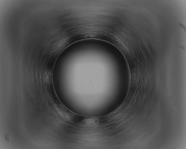 X0000093220126200710031446