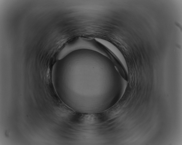 X0000093220127200710031446