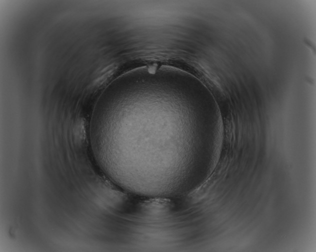 X0000093220128200710031446