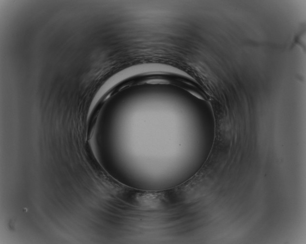 X0000093220129200710031446