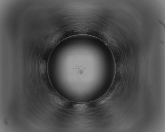 X0000093220133200710031446