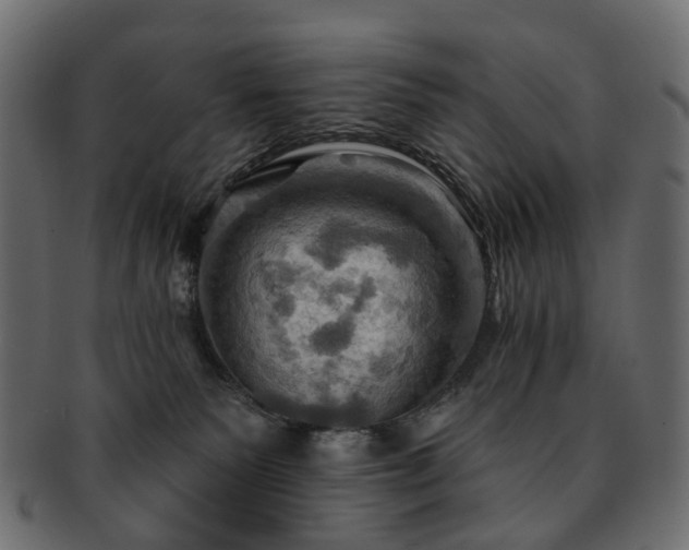 X0000093220135200710031446