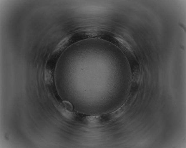 X0000093220136200710031446