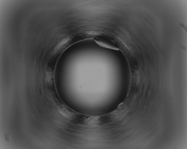 X0000093220138200710031446