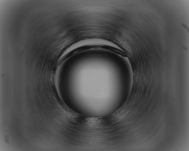 X0000093220141200710031446