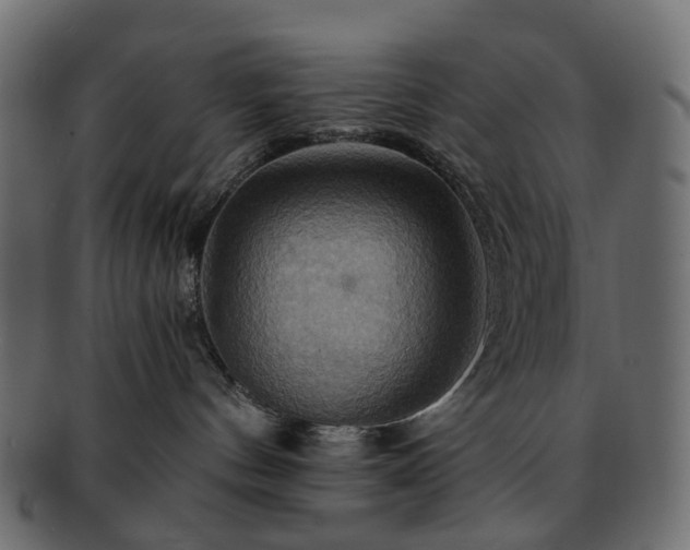 X0000093220144200710031446