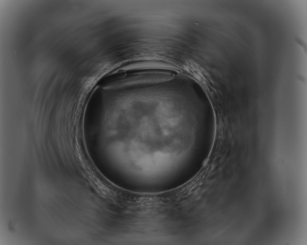 X0000093220145200710031446