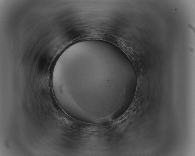 X0000093220146200710031446