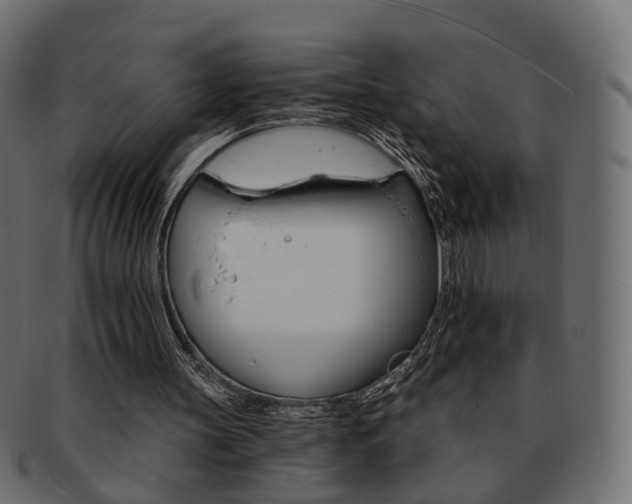 X0000093220147200710031446