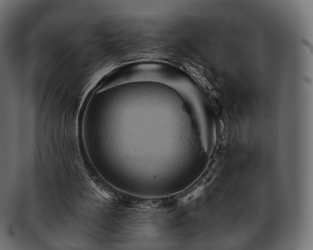 X0000093220148200710031446