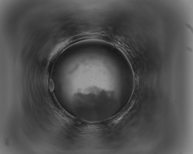 X0000093220149200710031446