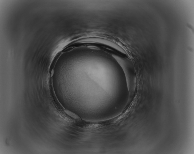 X0000093220152200710031446